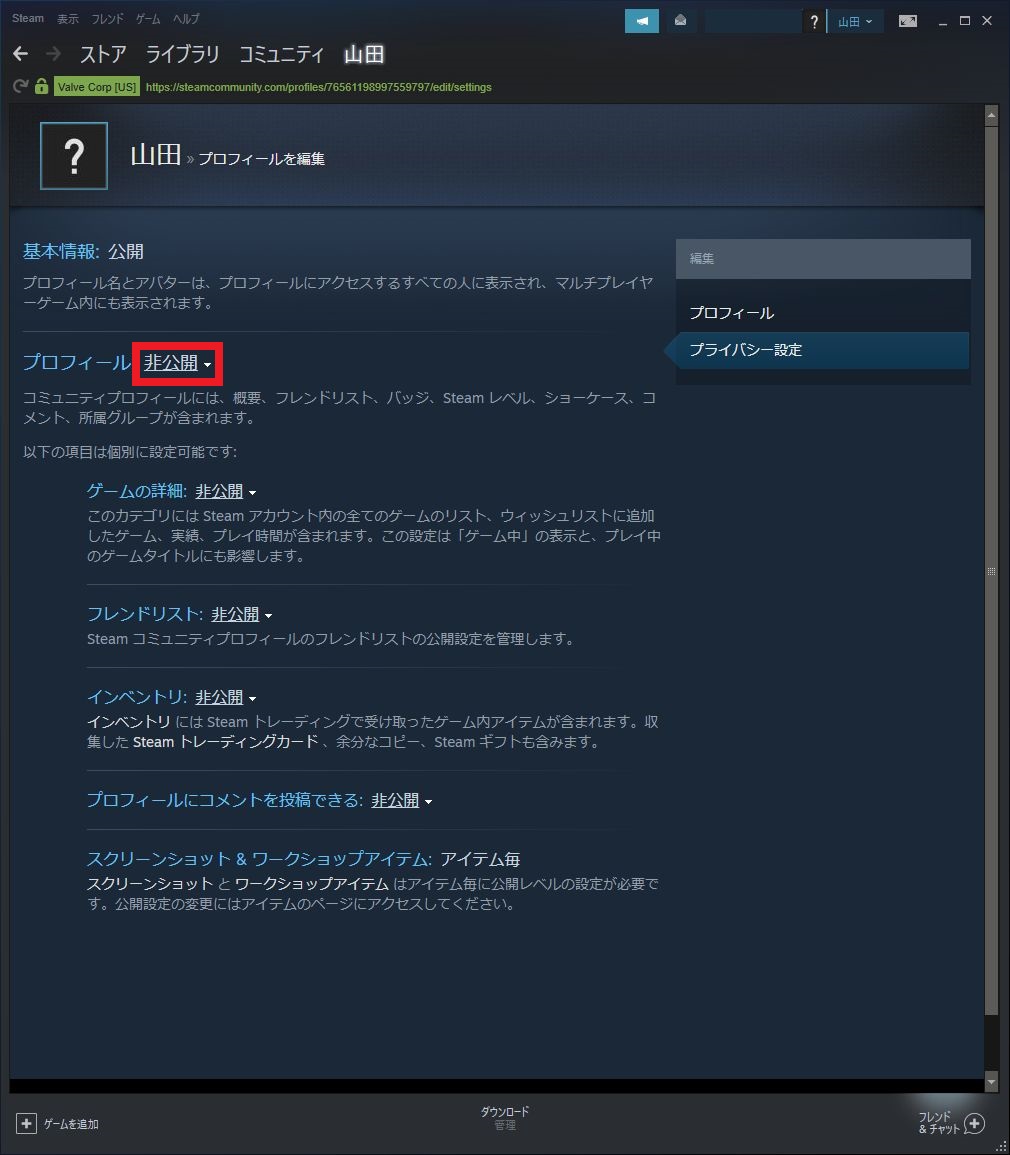 最新版 Steamでのゲームの始め方解説 Windows10版 シンプル情報3